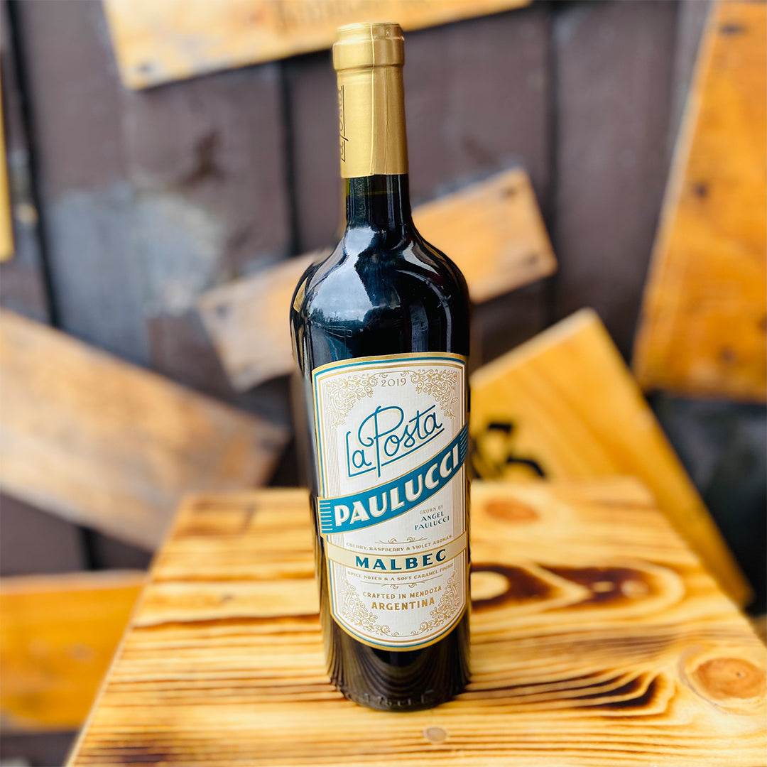 2019 LA POSTA ANGEL PAULUCCI MALBEC, THE VINEYARDS OF UGARTECHE MENDOZA ARGENTINA