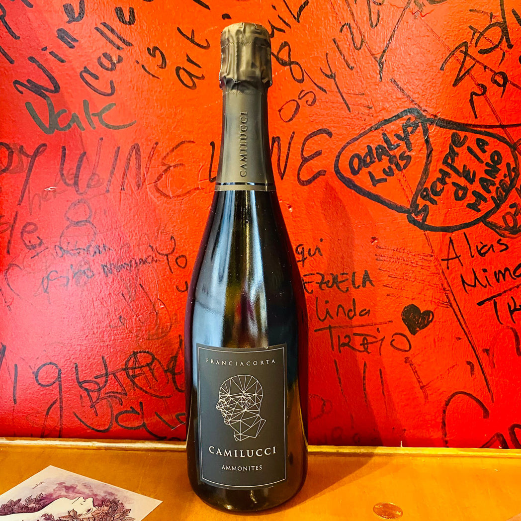 CAMILUCCI FRANCIACORTA AMMONITES BRUT, LOMBARDY ITALY